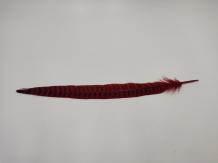 Pheasant Tail Red 25 cm