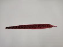 Pheasant Tail Pink 25 cm