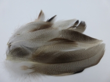 Mallard Flank Feathers Natural Mix