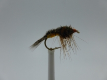 Size 14 Carrot Nymph