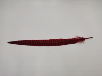 Pheasant Tail Red 25 cm