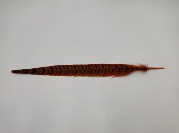 Pheasant Tail Orange 25 cm