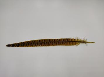 Pheasant Tail Yellow/Olive 25 cm