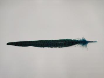 Pheasant Tail Petrol 25 cm