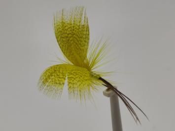 Size 10 Mayfly Yellow Barbless